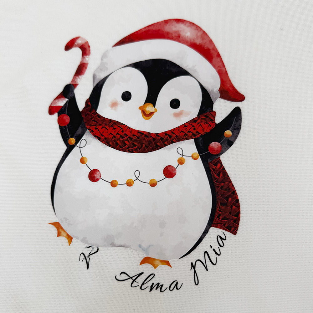 Buzo navideño_0000s_0006_IMG_3446